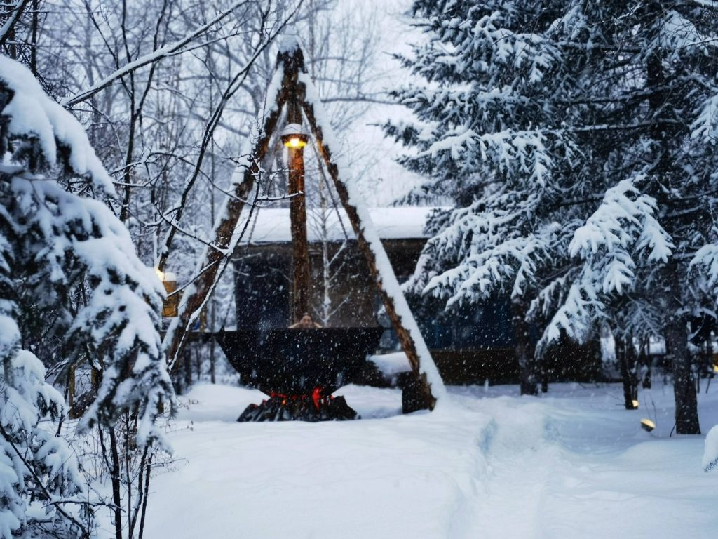 吉林下雪了 雪花闪耀在鹏城之畔