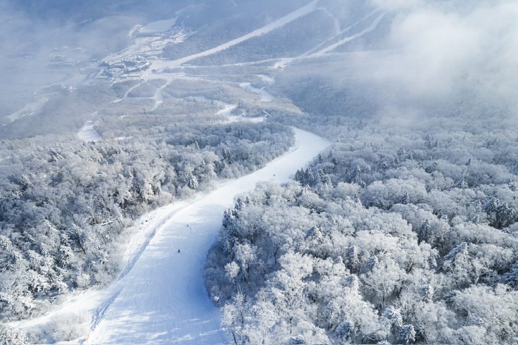 吉林下雪了 雪花闪耀在鹏城之畔