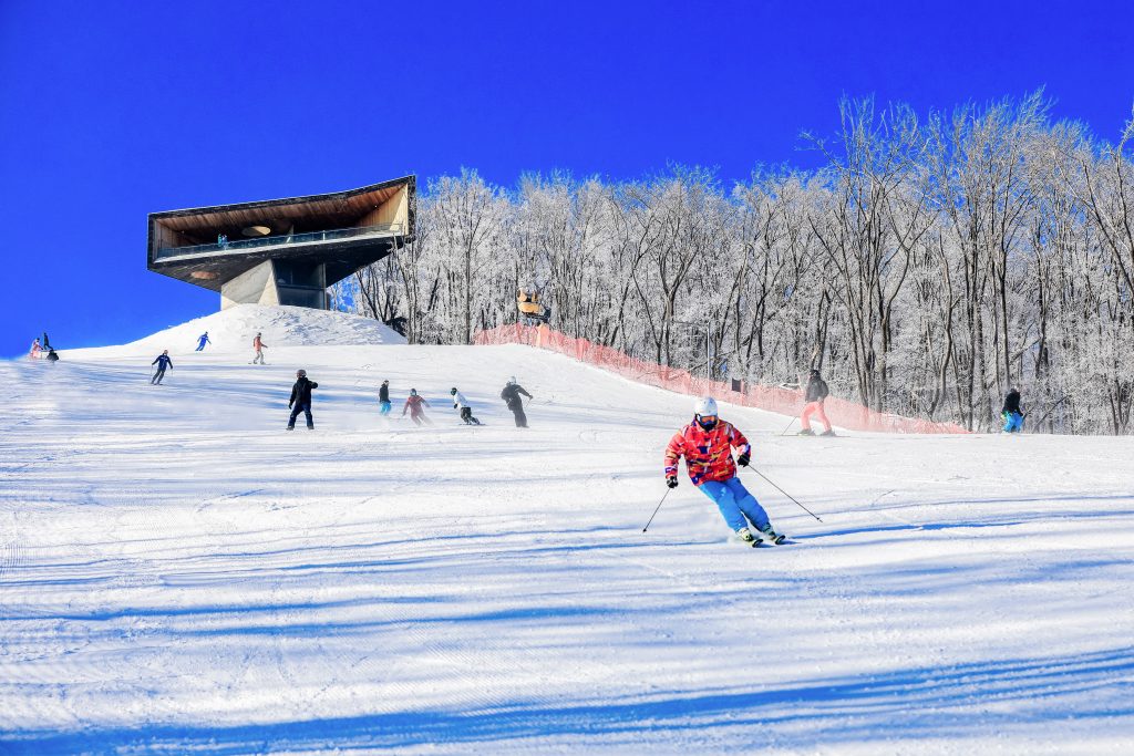 吉林下雪了 雪花闪耀在鹏城之畔
