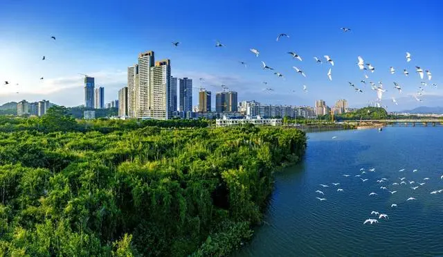 广州排名第一！2023年度广东省环境保护责任考核结果出炉