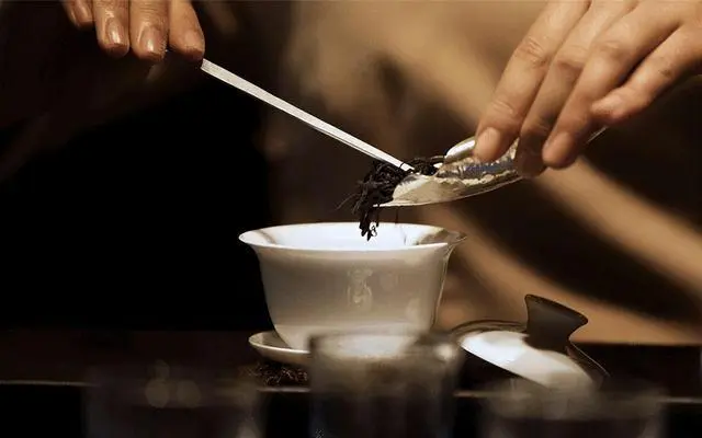 经常喝茶会伤肾吗？真相来了！爱喝茶和不喝茶的人都要看看