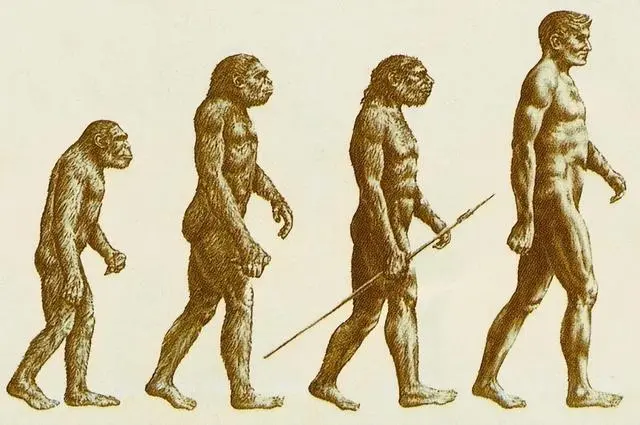 新研究：150万年前两种古人类曾有直接交集
