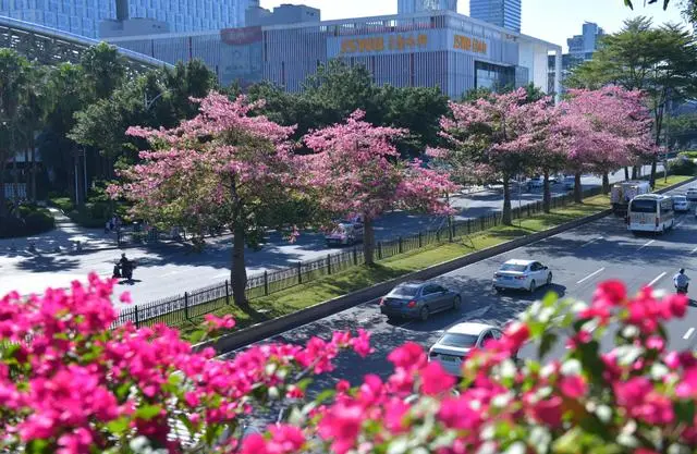 局部地区只有7℃，明晨广州将迎本轮降温最低温