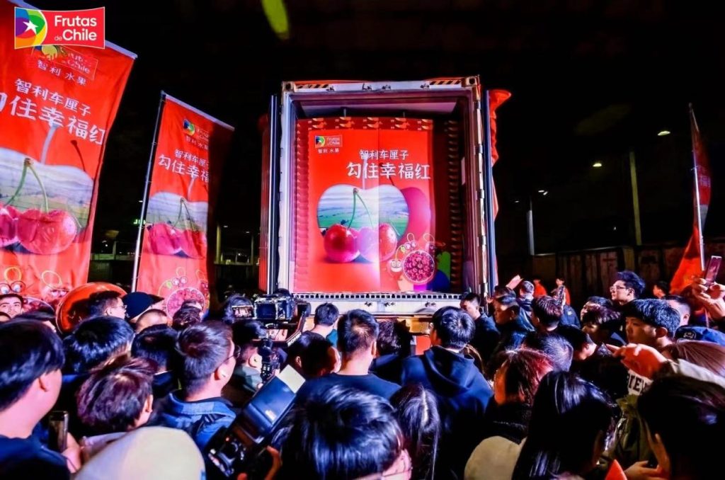 智利首艘“车厘子快线”到达中国:广州江秾汇批发市场举行首柜开柜仪式