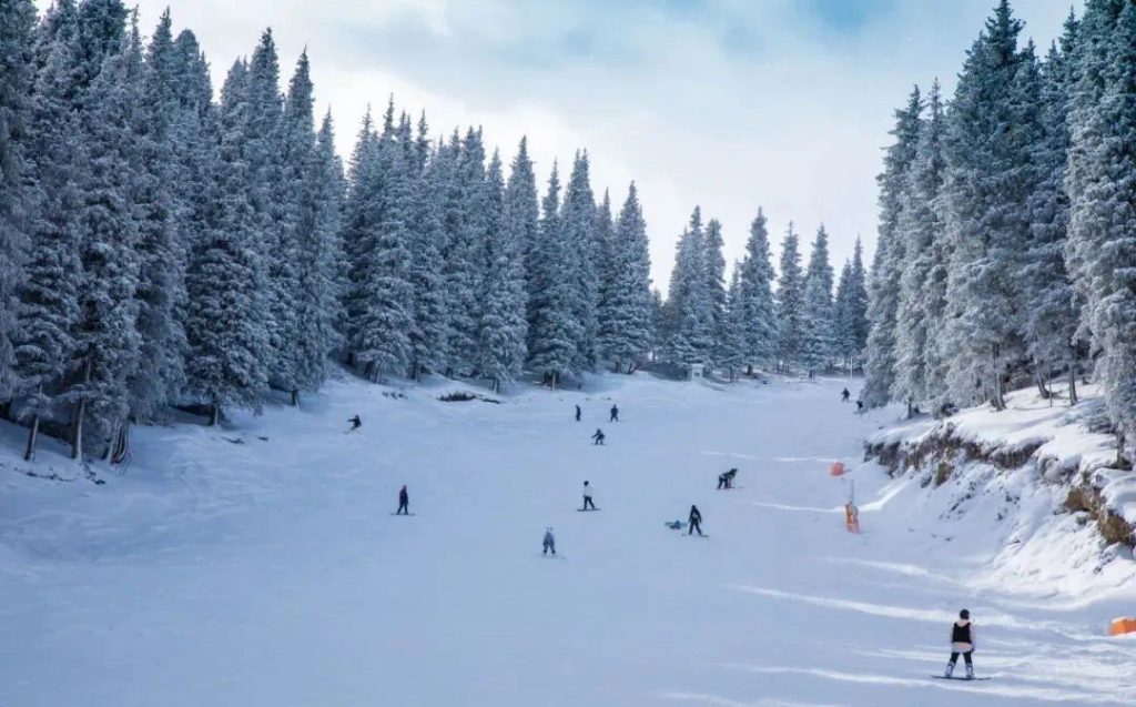 丝绸之路山地度假区 24 - 25 雪季冬令营：开启冰雪奇缘之旅