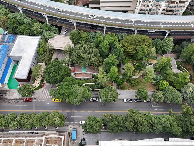 广州越秀:推进“社区绣花”,大塘街社区公园“妙藏”新型垃圾转运示范站