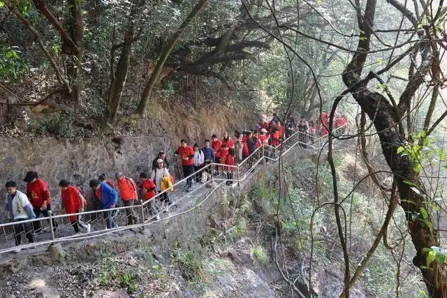 登高迎新年！2025年全国新年登高健身大会（广州从化站）举行