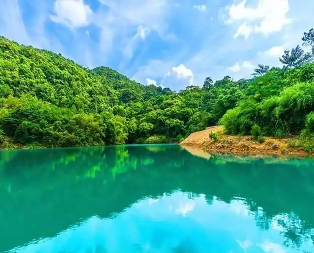 423万亩！广东超额完成森林质量精准提升任务