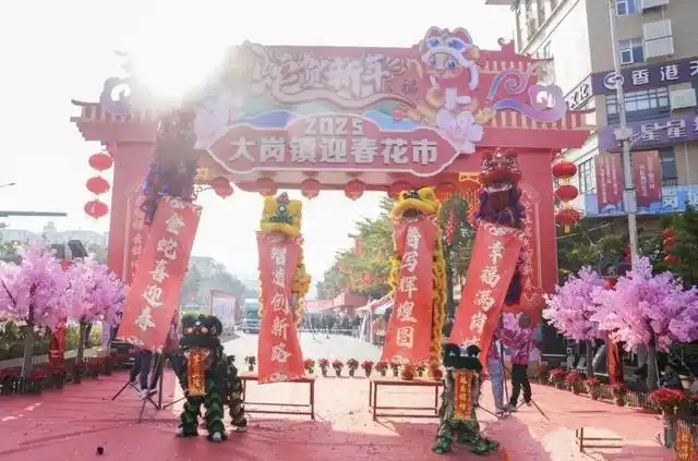 已举办25年！广州南沙首个花市鸣锣开市