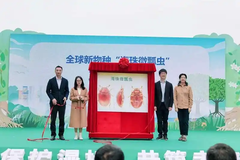 全球新物种“海珠微瓢虫”在广州发布