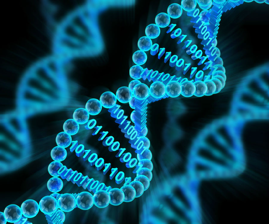 澳洲团队造出会打小游戏的生物计算机 用人脑细胞打造