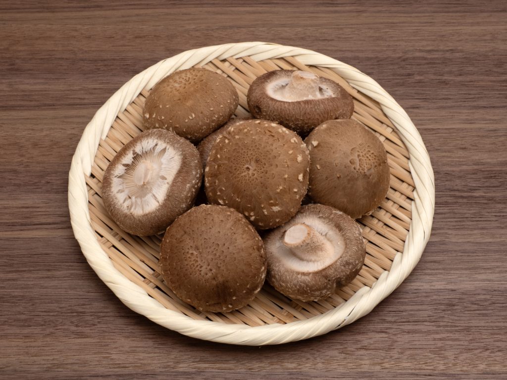 吃香菇也中招！医生提醒：未熟香菇的多糖成分可致皮炎