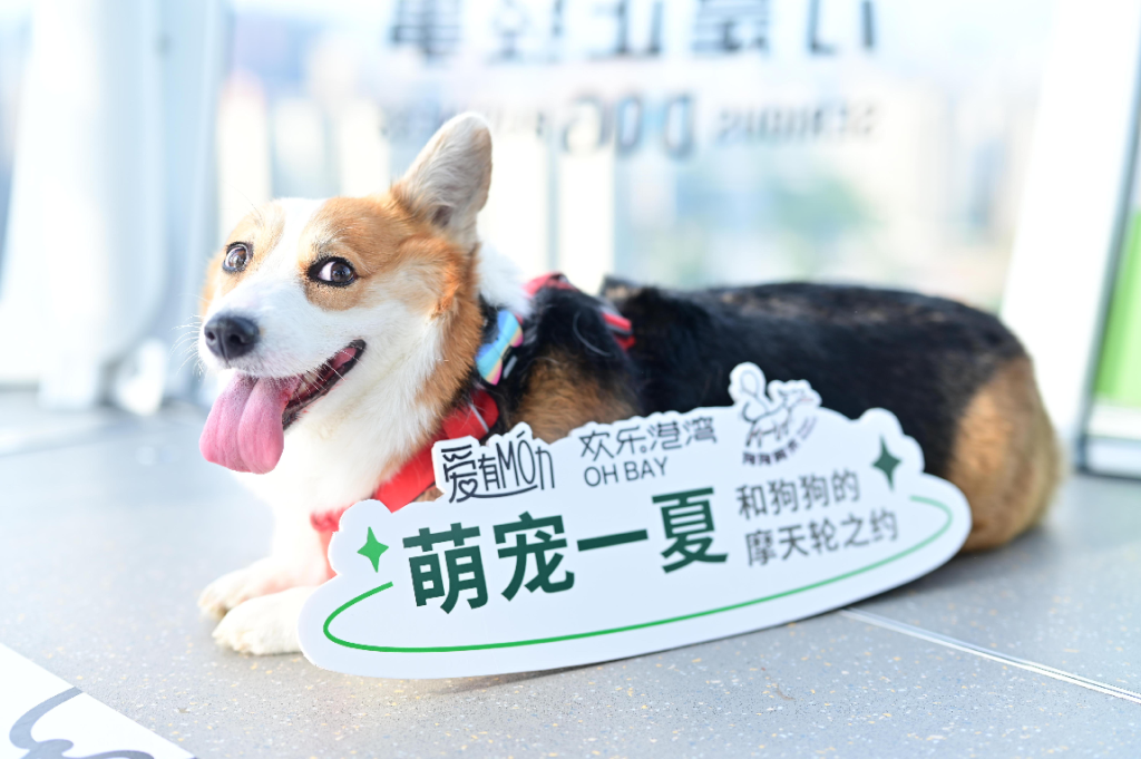 323国际小狗日 摩天轮开启宠物友好新模式