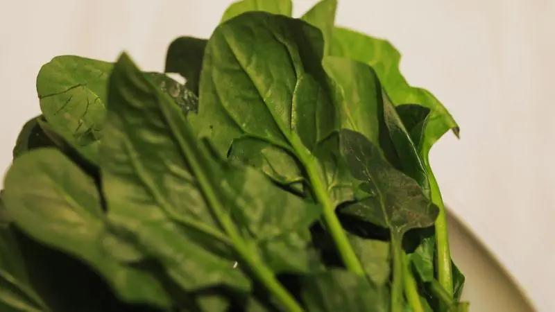 菠菜这样吃护心、通便又补钙！