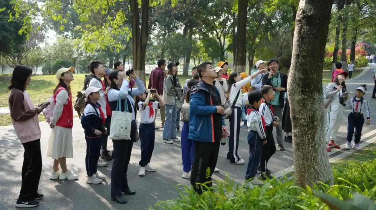 感受“水文商旅”，广州海珠首条水生态环境精品研学路线亮相