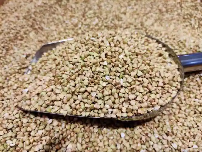 换一款主食，控血压还能稳血糖