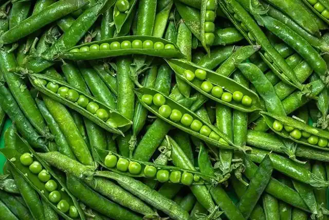 高钾、高蛋白，这种豆子春天吃正好！