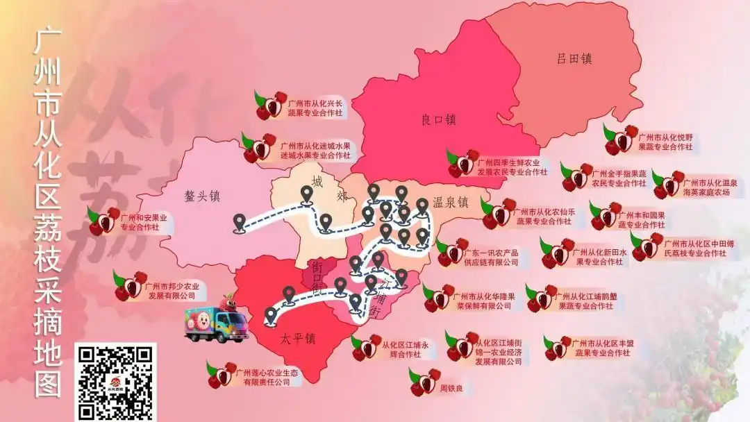 摘荔枝逛古镇品美食……广州从化发布了荔枝旅游精品线路