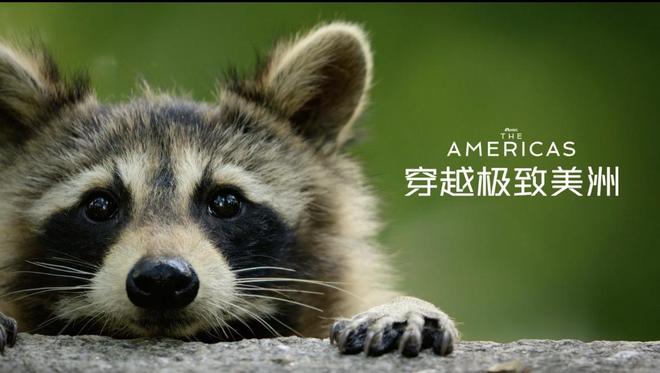 纪录片《穿越极致美洲》即将开播，汤姆·汉克斯担任解说