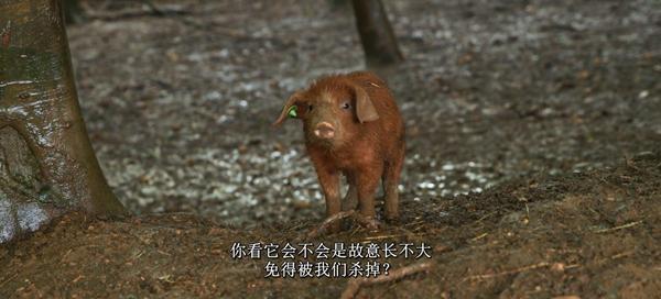 《克拉克森的农场4》:乡村“只是你开车经过的地方”?