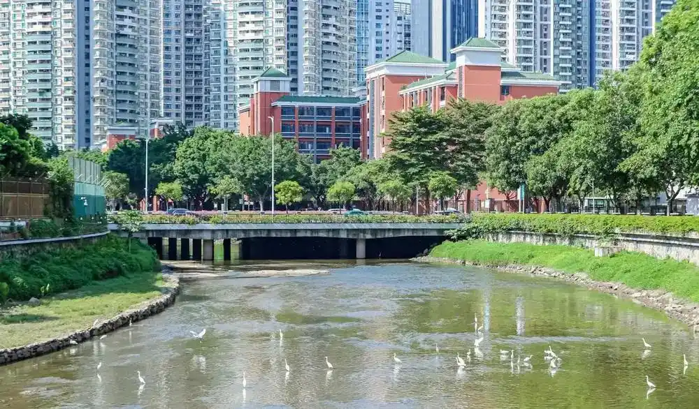 广州已累计建设碧道1456公里