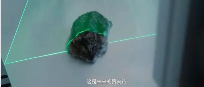 韩延的最新科幻片,确实拿出了顶级创意