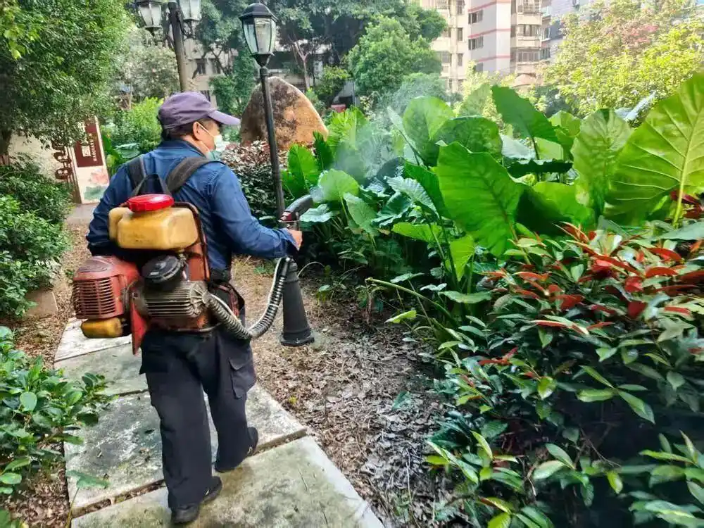 广州天河全面升级“两热”防控，筑牢安全屏障