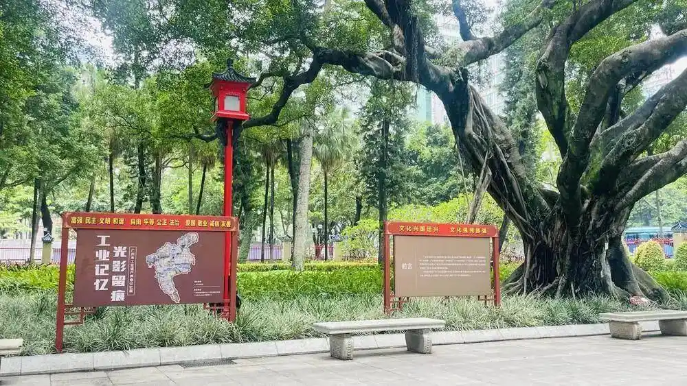 工业记忆、光影留痕，广州中山纪念堂园区新展览上线