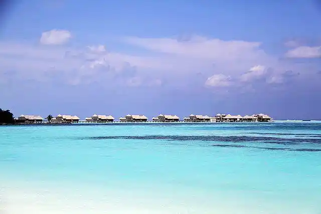 英国研究显示人类与自然的联结度220年来下降超60%