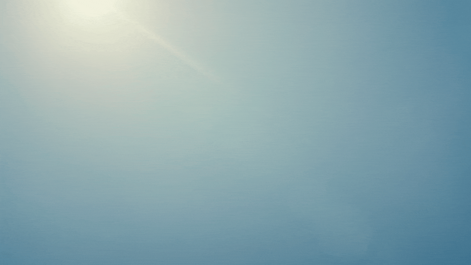 和空音央聊安藤樱，在《落枕》于洛迦诺首映之际