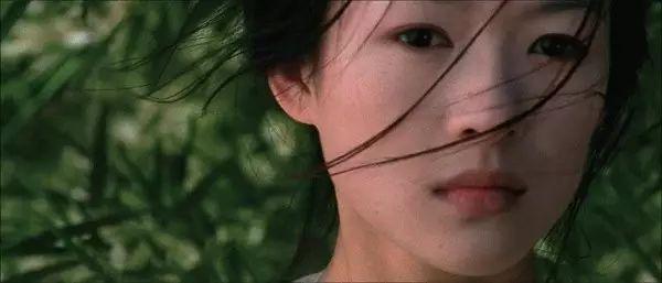 李安最被低估的杰作,帕尔玛力挺