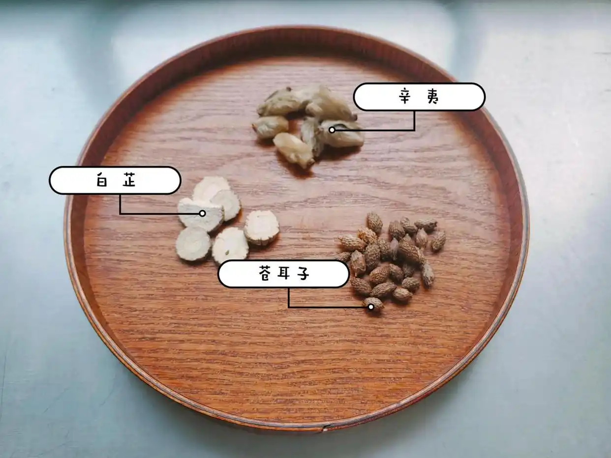 入秋就鼻塞？收好这份防敏通鼻茶饮攻略