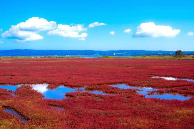 还记得舒淇与葛优去过的北海道那个海岬吗