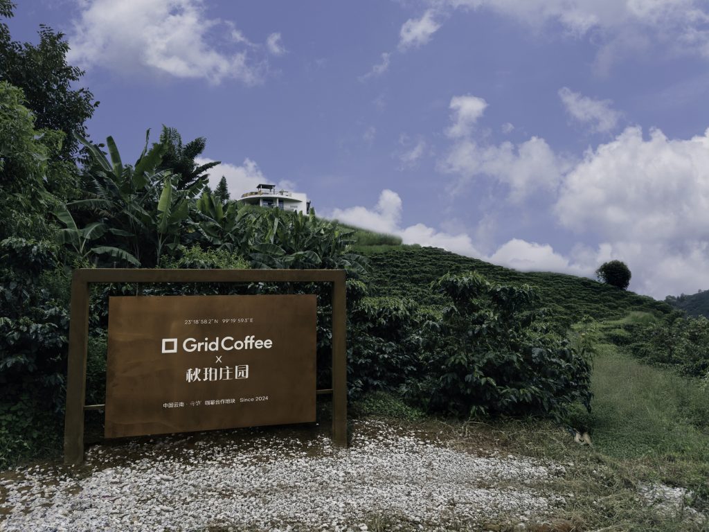 从山岭,到世界:GridCoffee 2025中国云南产地季