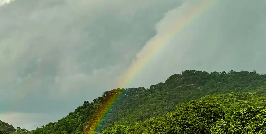 假期广州天气以晴热开篇，台风和冷空气随后发货