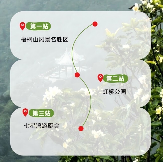 外国网友盛赞的深圳大片,藏着连本地人都不知道的打卡机位