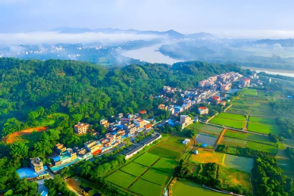 广州市：善治聚合力 暖邻润民心 共绘乡村全面振兴新图景