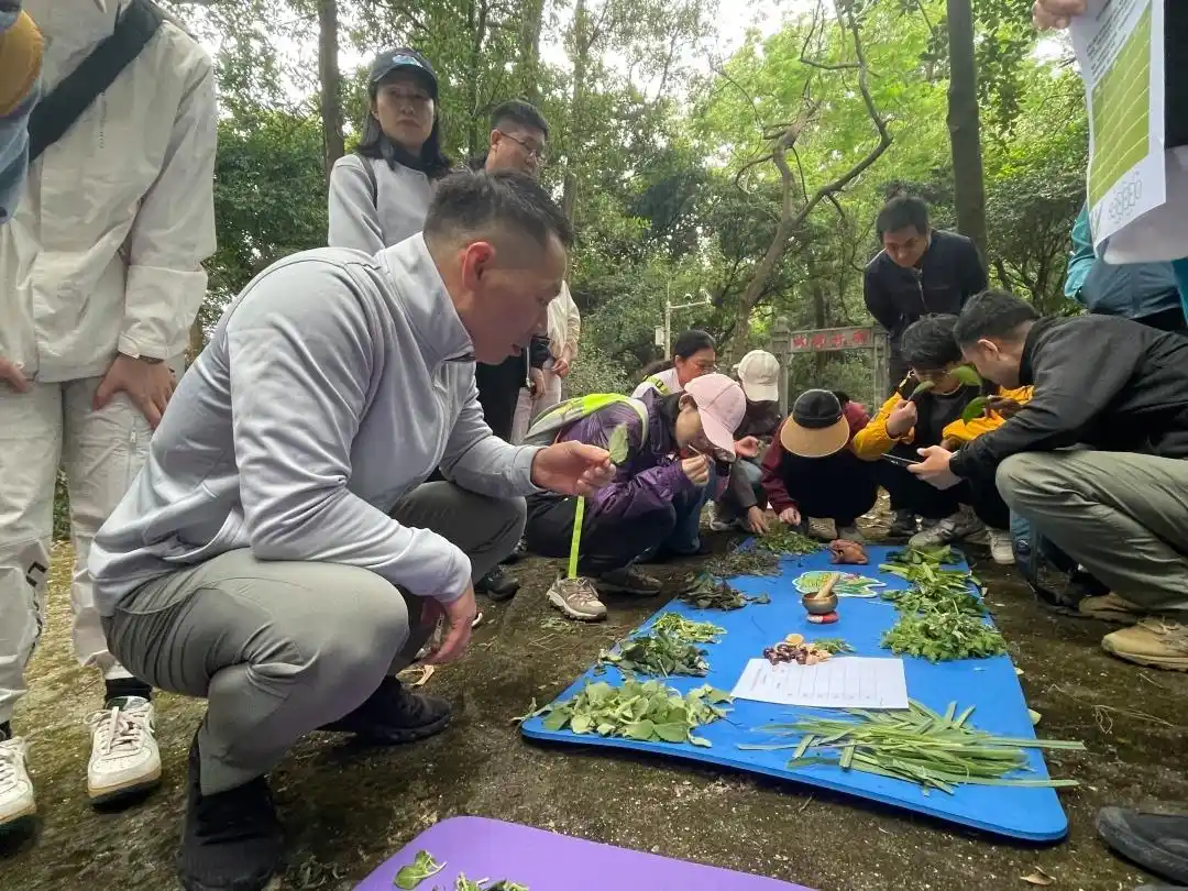 森林心理疗愈、森系运动疗法……广州举办首期森林康养技能培训班