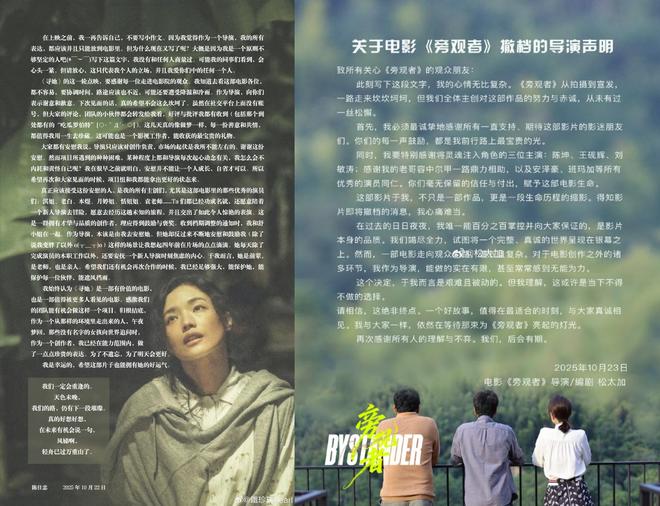 《寻她》《旁观者》撤档背后：文艺片退无可退