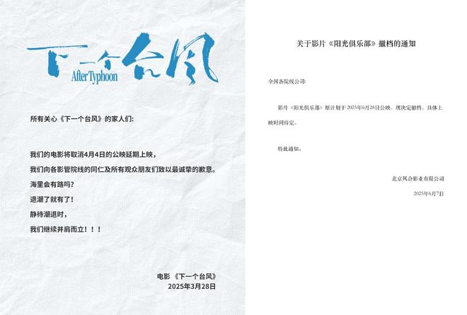 《寻她》《旁观者》撤档背后：文艺片退无可退