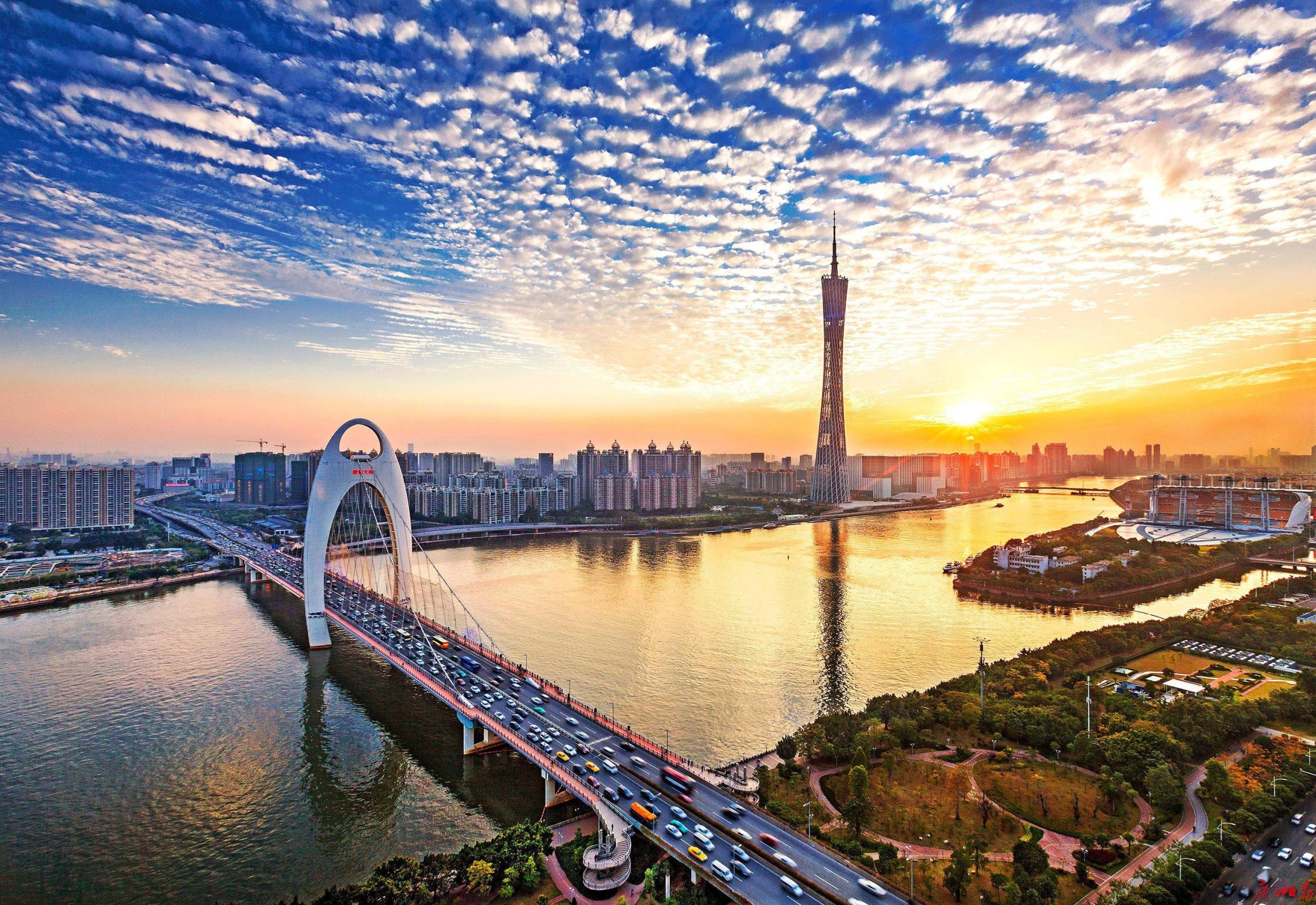 广州民营经济占GDP比重突破四成，市场主体总量跃居全国第二