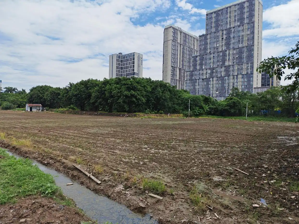 供地20宗起拍总价超250亿元 广州土拍年末冲刺