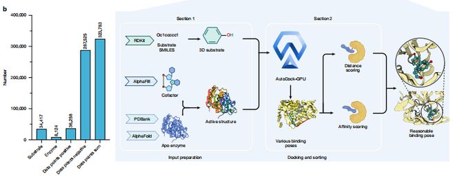 科学家推出酶-底物三维复合体数据库,酶工程进入超高预测AI时代