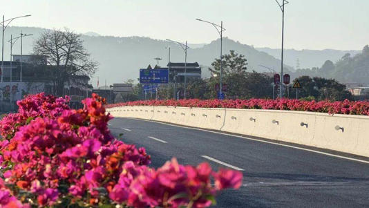 广州增城：绣花功夫绘就绿美画卷，“最美旅游公路”驱动生态富民