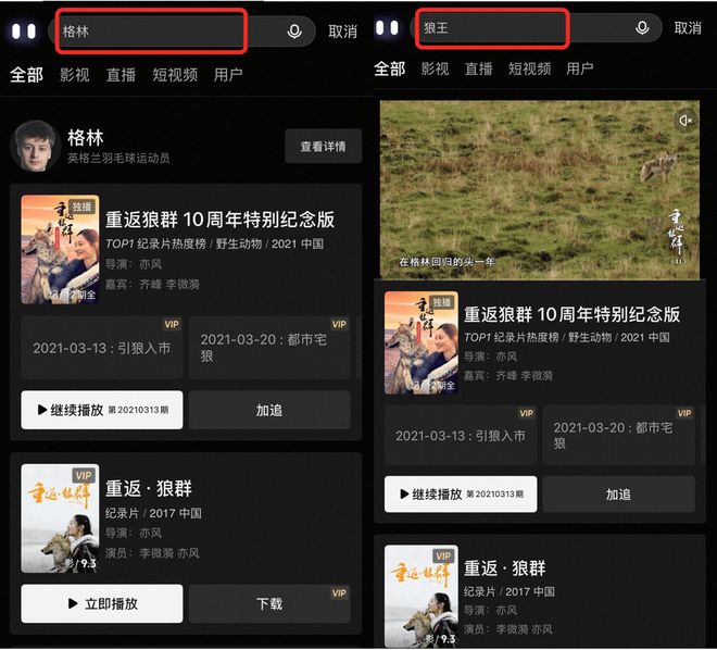 《重返狼群》火了,揭秘优酷独家上线12集完整版纪录片的背后
