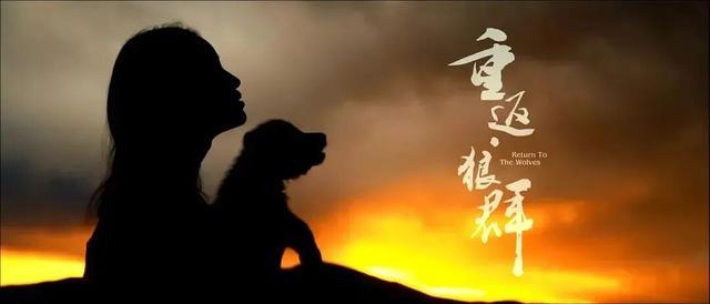 春节档预售开启!4部预售票房破千万,票补低至16.9元