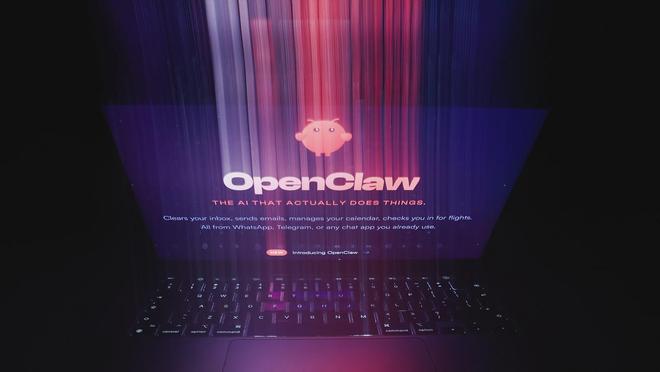 凌晨断电自救！Meta安全高管惨遭OpenClaw清空邮件，马斯克毒舌嘲讽：猴子拿步枪