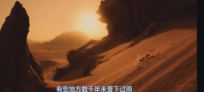 网飞史诗级巨作,每一帧都在烧钱!!