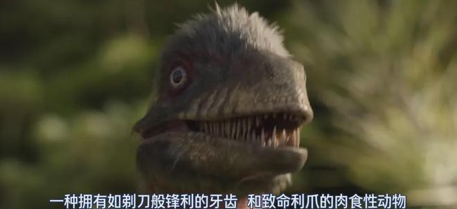 网飞史诗级巨作,每一帧都在烧钱!!