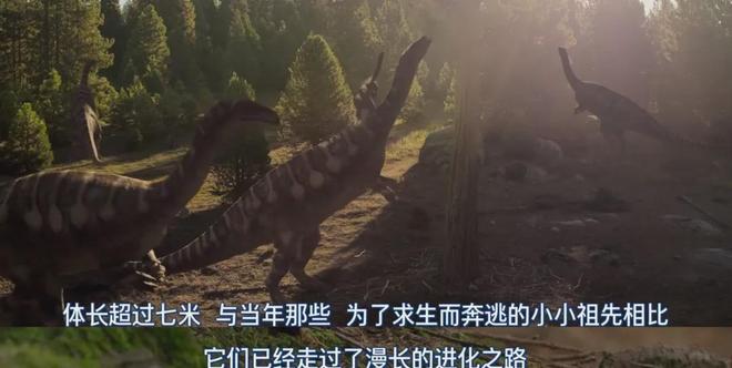 网飞史诗级巨作,每一帧都在烧钱!!